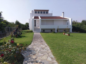 Holiday home next to orange tree orchard